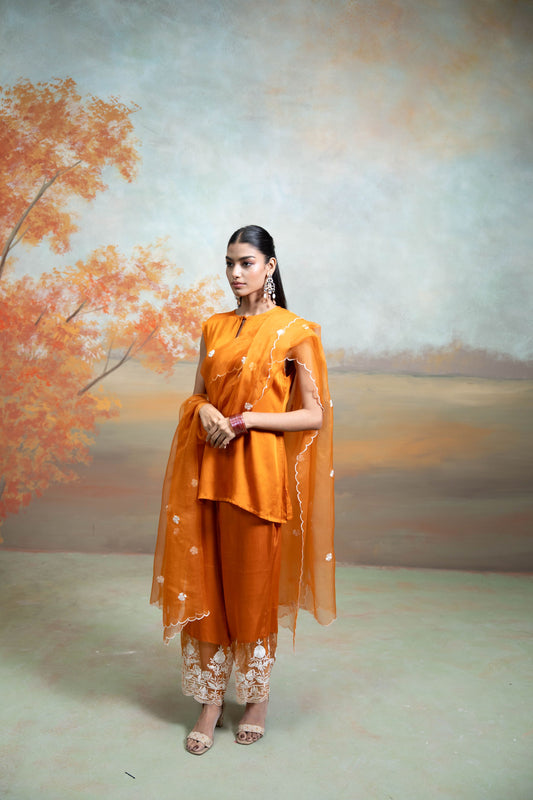 Orange Organza Detailing Cotton Silk & Organza Kurta Set 3 Pcs