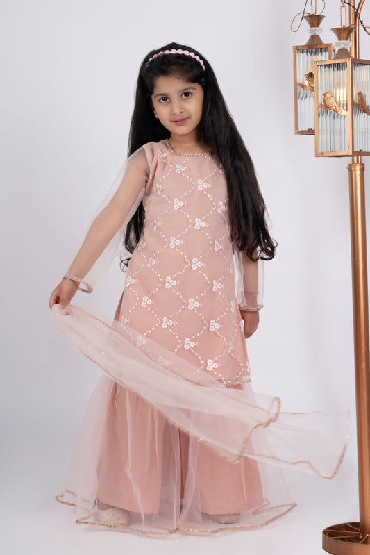 Girls peach net embroidered sharara set
