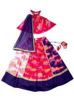 Load image into Gallery viewer, Sky Is A Miracle - Panelled Lehenga, Blouse and Dupatta Set
