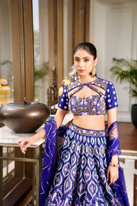 Shriya  Lehnega Set