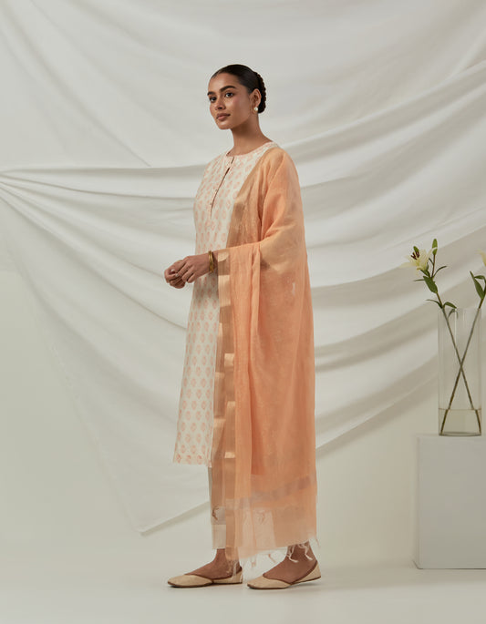 Chanderi hand block printed kurta