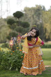 Maahi Lehenga