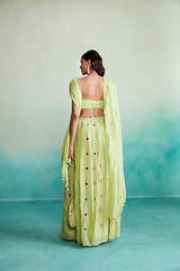 Citrus skirt top set - Lime Hand embroidered Skirt Top & Dupatta set